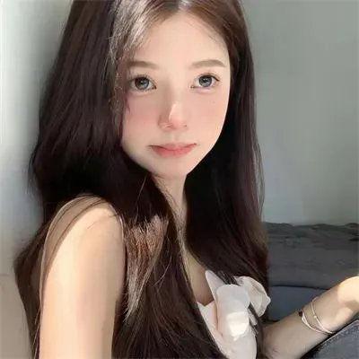 我可爱的宾杜